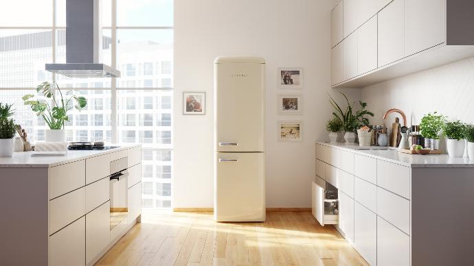 exemple-frigo-gorenje-cuisine